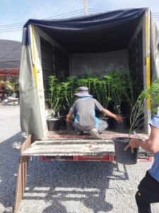 ฤตศิลป์รถรับจ้าง.com บริการรถรับจ้าง ขนย้ายของทุกชนิด 32 กฤตศิลป์รถรับจ้าง.com บริการรถรับจ้าง ขนย้ายของทุกชนิด 11